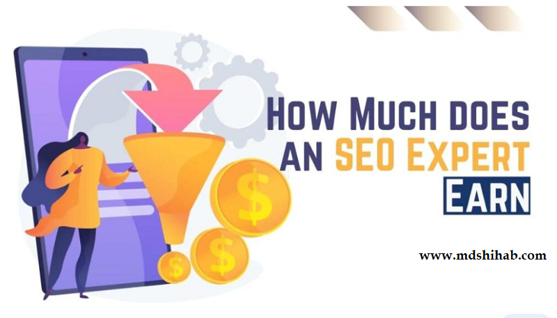 How Much Earn A SEO Expert